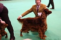 Crufts2011_2 094